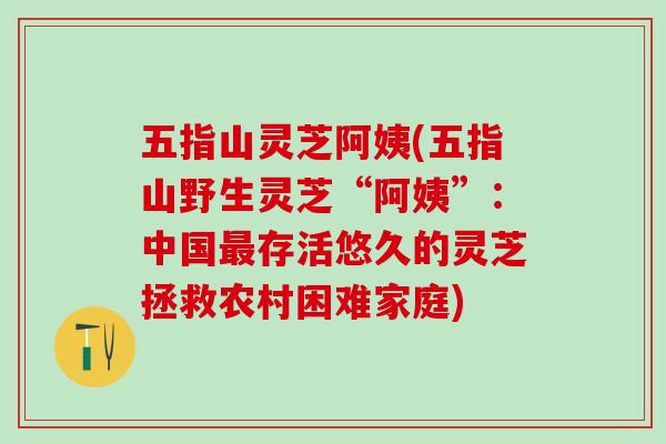 五指山灵芝阿姨(五指山野生灵芝“阿姨”：中国最存活悠久的灵芝拯救农村困难家庭)