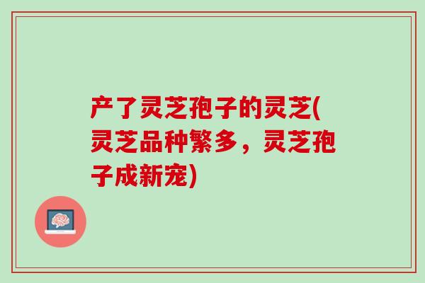 产了灵芝孢子的灵芝(灵芝品种繁多，灵芝孢子成新宠)