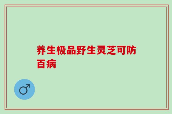 养生极品野生灵芝可防百病