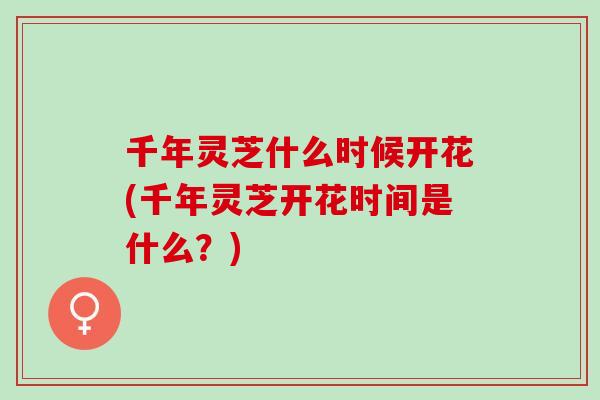 千年灵芝什么时候开花(千年灵芝开花时间是什么？)