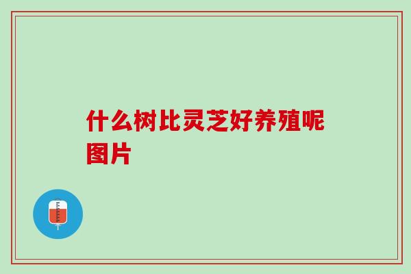 什么树比灵芝好养殖呢图片