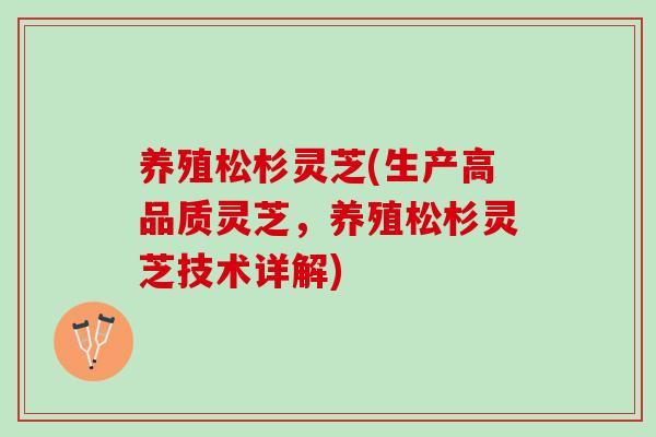 养殖松杉灵芝(生产高品质灵芝，养殖松杉灵芝技术详解)