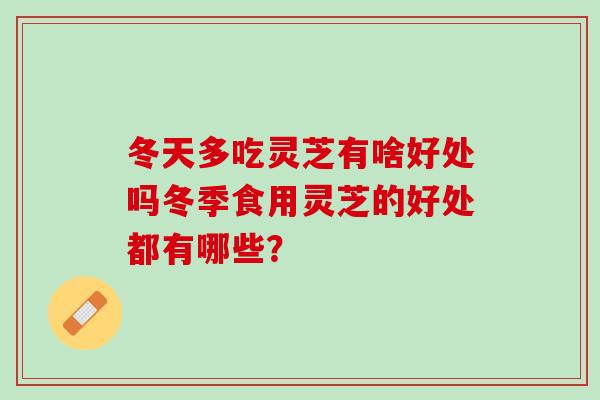冬天多吃灵芝有啥好处吗冬季食用灵芝的好处都有哪些？