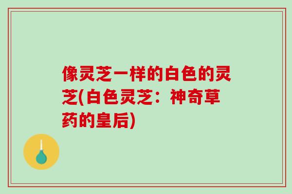像灵芝一样的白色的灵芝(白色灵芝：神奇草药的皇后)