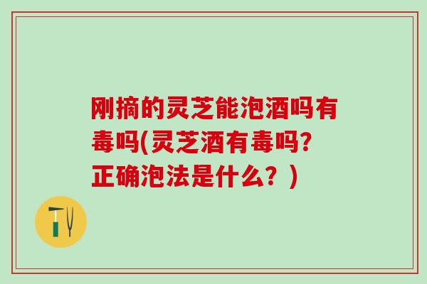 刚摘的灵芝能泡酒吗有毒吗(灵芝酒有毒吗？正确泡法是什么？)