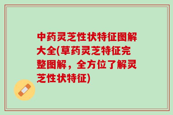 灵芝性状特征图解大全(草药灵芝特征完整图解，全方位了解灵芝性状特征)