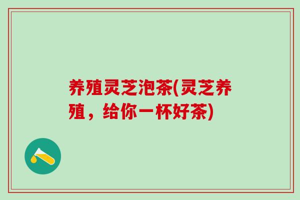 养殖灵芝泡茶(灵芝养殖,给你一杯好茶) 养殖灵芝泡茶(灵芝养殖,给你一杯好茶)