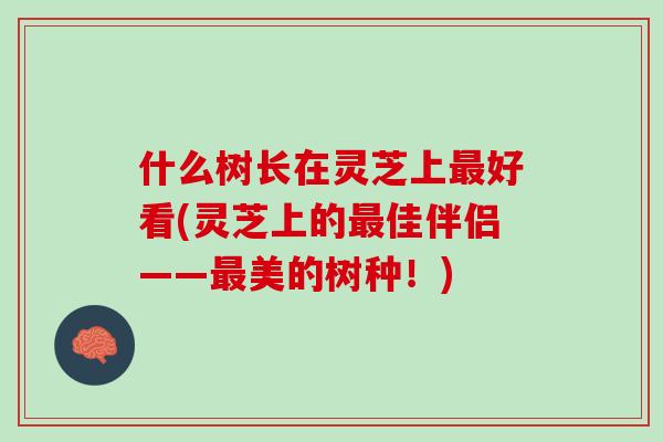 什么树长在灵芝上最好看(灵芝上的最佳伴侣——最美的树种！)