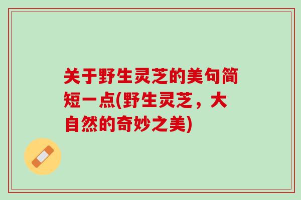 关于野生灵芝的美句简短一点(野生灵芝，大自然的奇妙之美)