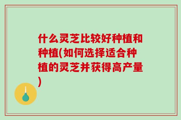 什么灵芝比较好种植和种植(如何选择适合种植的灵芝并获得高产量)