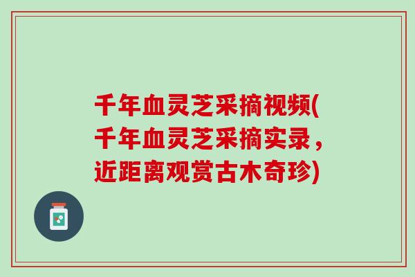 千年血灵芝采摘视频(千年血灵芝采摘实录，近距离观赏古木奇珍)