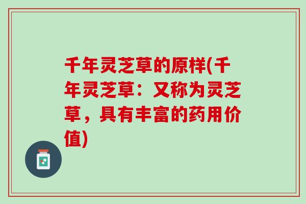 千年灵芝草的原样(千年灵芝草：又称为灵芝草，具有丰富的药用价值)