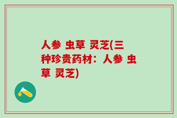 人参 虫草 灵芝(三种珍贵药材:人参 虫草 灵芝) 人参 虫草 灵芝(三种珍贵药材:人参 虫草 灵芝)