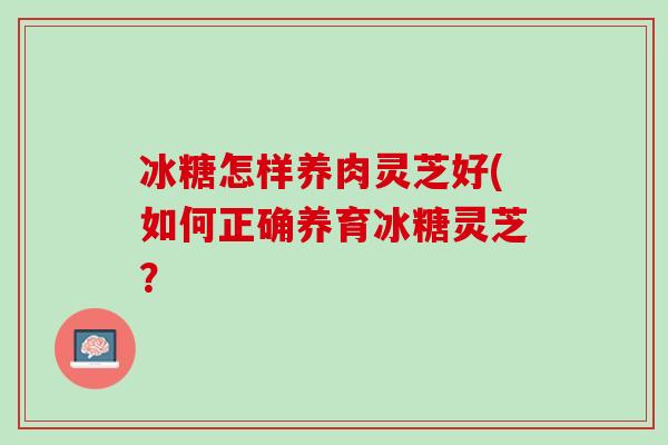 冰糖怎样养肉灵芝好(如何正确养育冰糖灵芝？