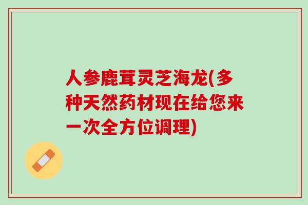 人参鹿茸灵芝海龙(多种天然药材现在给您来一次全方位调理) 人参鹿茸灵芝海龙(多种天然药材现在给您来一次全方位调理)