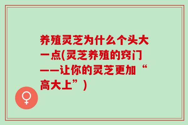 养殖灵芝为什么个头大一点(灵芝养殖的窍门——让你的灵芝更加“高大上”)