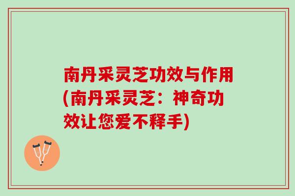 南丹采灵芝功效与作用(南丹采灵芝：神奇功效让您爱不释手)