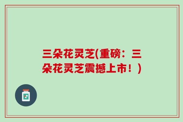 三朵花灵芝(重磅：三朵花灵芝震撼上市！)