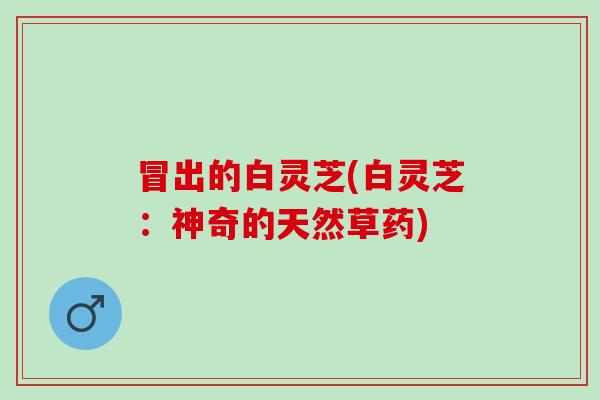 冒出的白灵芝(白灵芝：神奇的天然草药)
