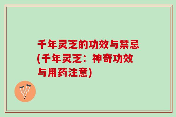 千年灵芝的功效与禁忌(千年灵芝：神奇功效与用药注意)