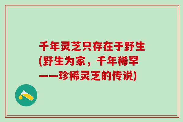 千年灵芝只存在于野生(野生为家,千年稀罕——珍稀灵芝的传说) 千年灵芝只存在于野生(野生为家,千年稀罕——珍稀灵芝的传说)