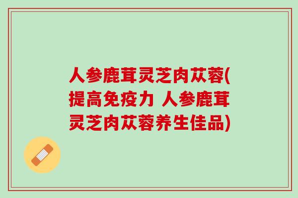人参鹿茸灵芝肉苁蓉(提高免疫力 人参鹿茸灵芝肉苁蓉养生佳品)