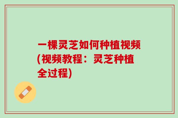 一棵灵芝如何种植视频(视频教程：灵芝种植全过程)