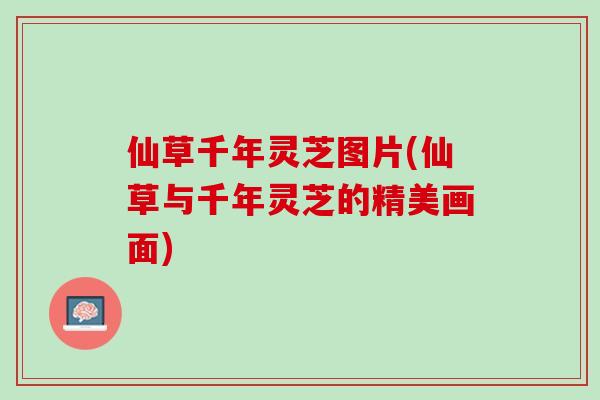 仙草千年灵芝图片(仙草与千年灵芝的精美画面)