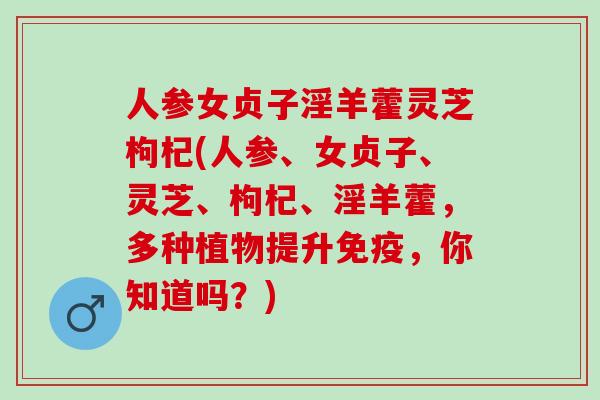 人参女贞子淫羊藿灵芝枸杞(人参、女贞子、灵芝、枸杞、淫羊藿，多种植物提升免疫，你知道吗？)