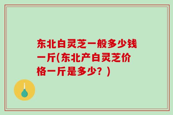 东北白灵芝一般多少钱一斤(东北产白灵芝价格一斤是多少？)
