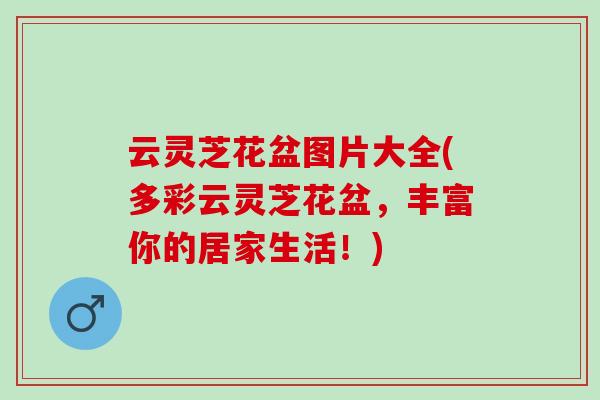 云灵芝花盆图片大全(多彩云灵芝花盆，丰富你的居家生活！)