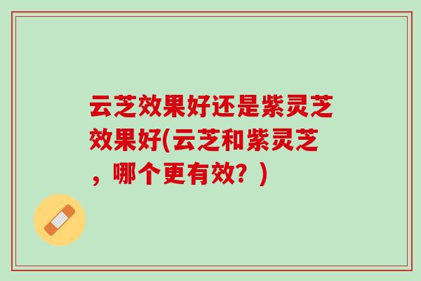 云芝效果好还是紫灵芝效果好(云芝和紫灵芝，哪个更有效？)