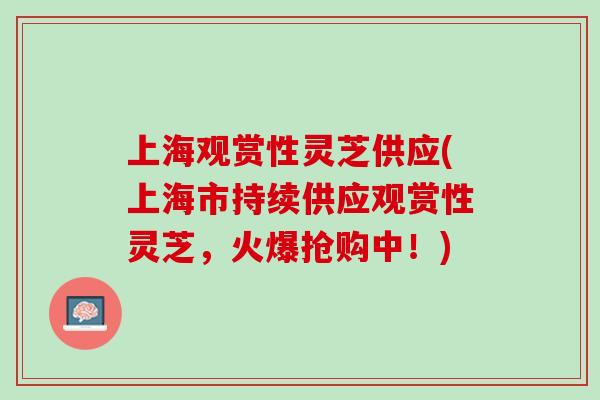 上海观赏性灵芝供应(上海市持续供应观赏性灵芝，火爆抢购中！)
