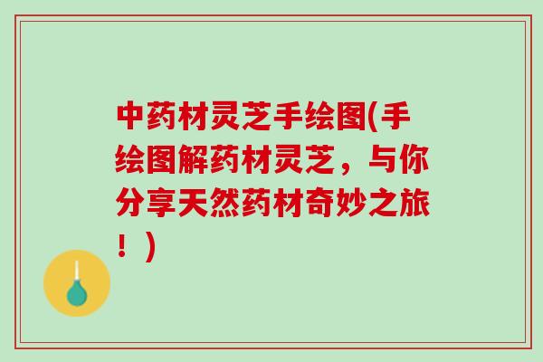 中药材灵芝手绘图(手绘图解药材灵芝，与你分享天然药材奇妙之旅！)