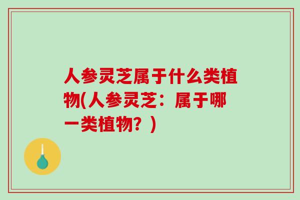 人参灵芝属于什么类植物(人参灵芝:属于哪一类植物?) 人参灵芝属于什么类植物(人参灵芝:属于哪一类植物?)