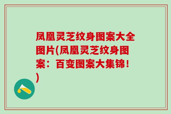 凤凰灵芝纹身图案大全图片(凤凰灵芝纹身图案：百变图案大集锦！)