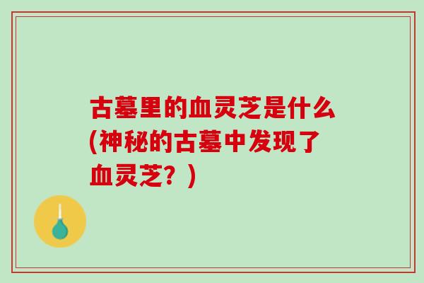 古墓里的血灵芝是什么(神秘的古墓中发现了血灵芝？)