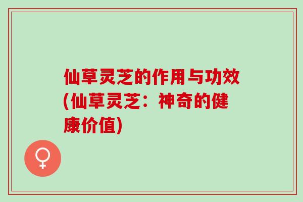 仙草灵芝的作用与功效(仙草灵芝：神奇的健康价值)