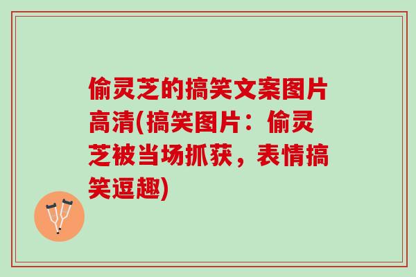 偷灵芝的搞笑文案图片高清(搞笑图片：偷灵芝被当场抓获，表情搞笑逗趣)