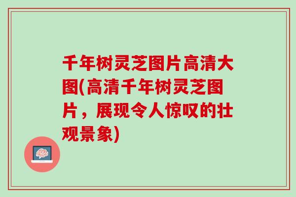 千年树灵芝图片高清大图(高清千年树灵芝图片,展现令人惊叹的壮观景象) 千年树灵芝图片高清大图(高清千年树灵芝图片,展现令人惊叹的壮观景象)