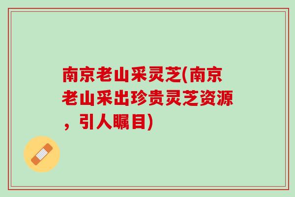 南京老山采灵芝(南京老山采出珍贵灵芝资源，引人瞩目)