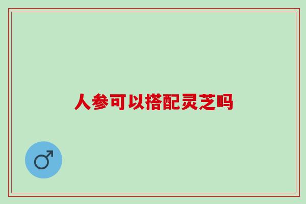 人参可以搭配灵芝吗
