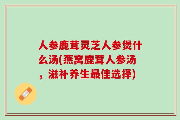 人参鹿茸灵芝人参煲什么汤(燕窝鹿茸人参汤，滋补养生最佳选择)