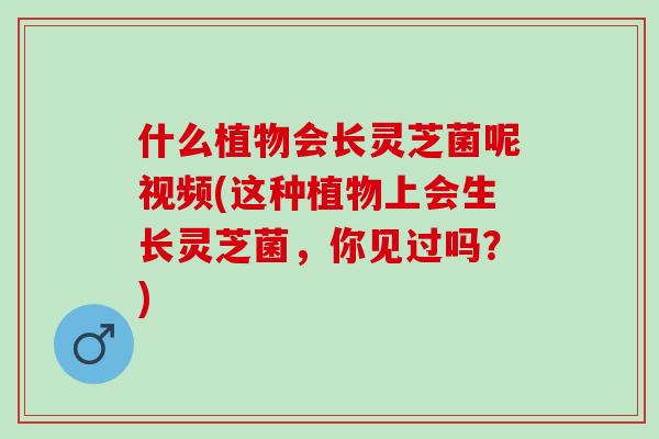 什么植物会长灵芝菌呢视频(这种植物上会生长灵芝菌，你见过吗？)