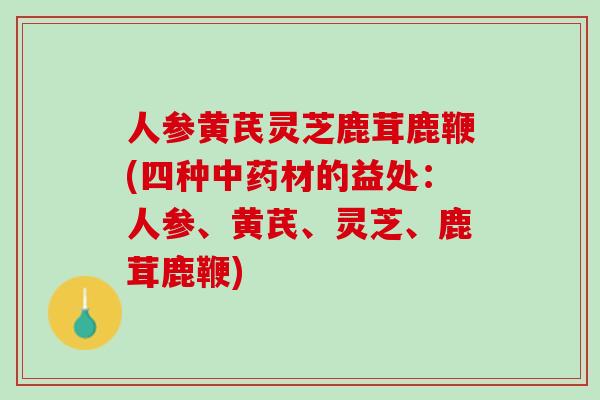 人参黄芪灵芝鹿茸鹿鞭(四种中药材的益处：人参、黄芪、灵芝、鹿茸鹿鞭)