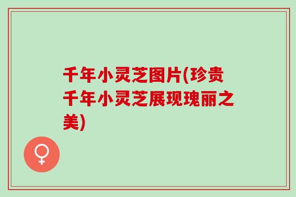 千年小灵芝图片(珍贵千年小灵芝展现瑰丽之美) 千年小灵芝图片(珍贵千年小灵芝展现瑰丽之美)