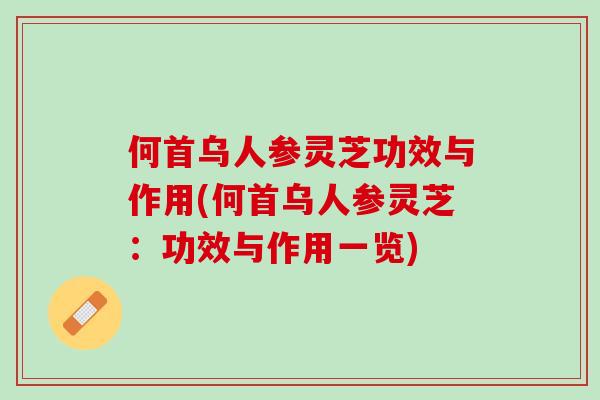 何首乌人参灵芝功效与作用(何首乌人参灵芝：功效与作用一览)
