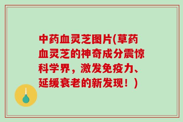 中药血灵芝图片(草药血灵芝的神奇成分震惊科学界，激发免疫力、延缓衰老的新发现！)