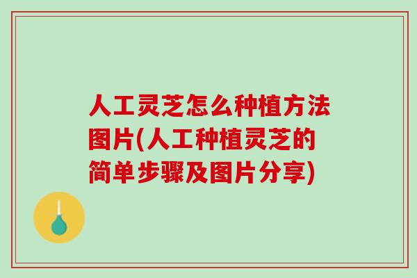 人工灵芝怎么种植方法图片(人工种植灵芝的简单步骤及图片分享)