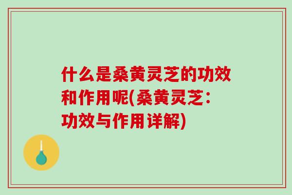 什么是桑黄灵芝的功效和作用呢(桑黄灵芝：功效与作用详解)